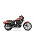 Harley Davidson XL883R 02-03